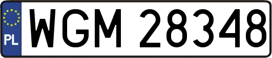 WGM28348
