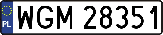 WGM28351