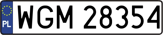 WGM28354