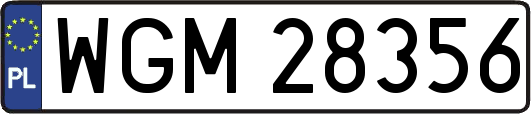 WGM28356