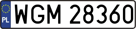 WGM28360