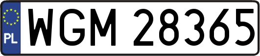WGM28365