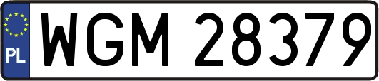 WGM28379