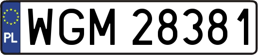 WGM28381