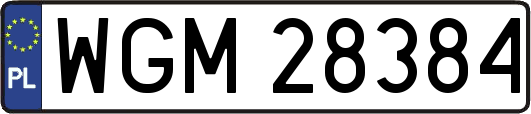 WGM28384