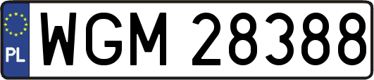 WGM28388