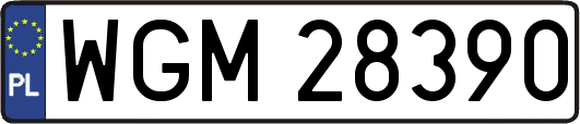 WGM28390