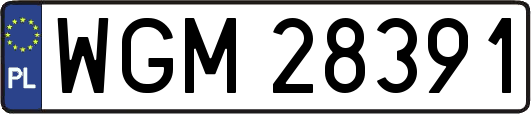 WGM28391
