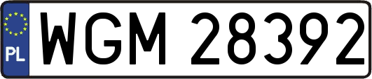 WGM28392