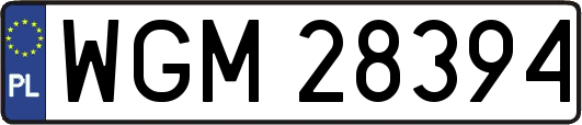 WGM28394