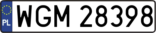 WGM28398