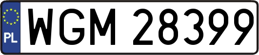 WGM28399