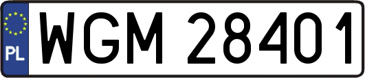 WGM28401