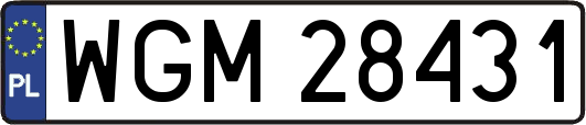 WGM28431