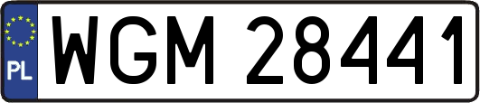 WGM28441