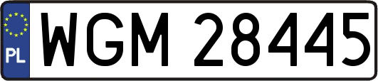 WGM28445