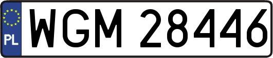 WGM28446