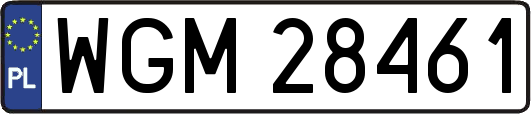 WGM28461