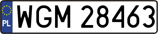 WGM28463