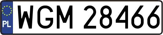 WGM28466