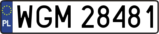 WGM28481