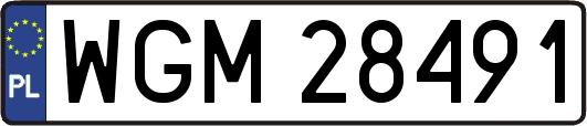 WGM28491