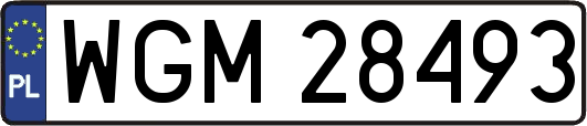 WGM28493