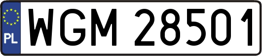 WGM28501