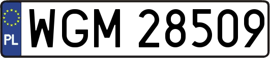 WGM28509