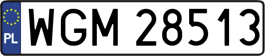 WGM28513