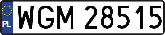 WGM28515