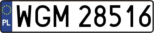 WGM28516