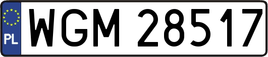 WGM28517