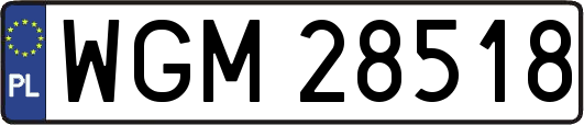 WGM28518