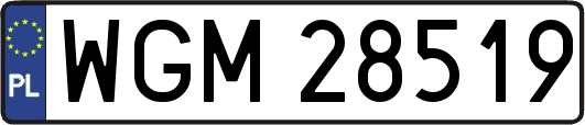 WGM28519