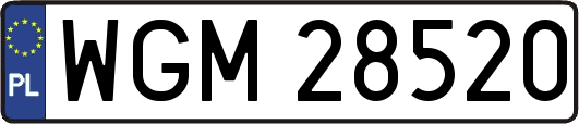 WGM28520