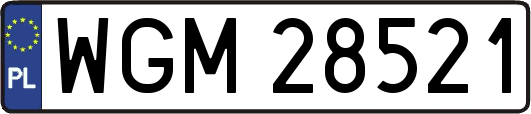WGM28521