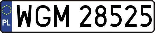 WGM28525