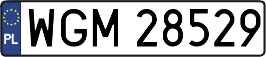 WGM28529