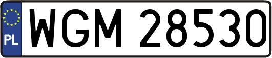WGM28530