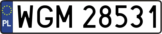 WGM28531