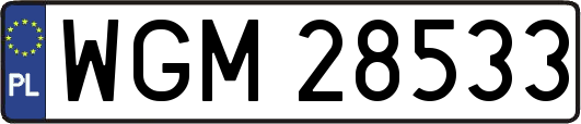 WGM28533