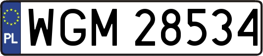 WGM28534
