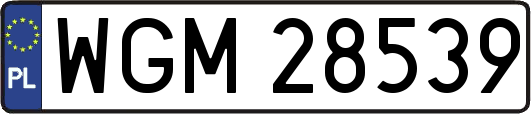 WGM28539