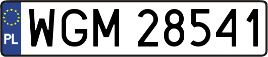 WGM28541
