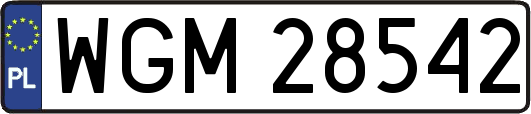 WGM28542