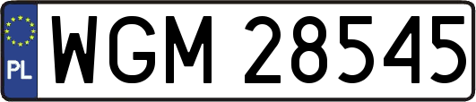 WGM28545