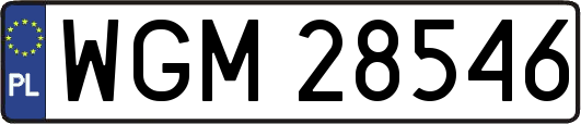 WGM28546