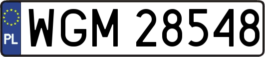 WGM28548