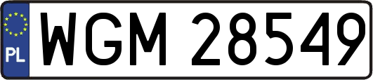 WGM28549